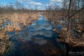 028_Biebrza - kwiecien 2013